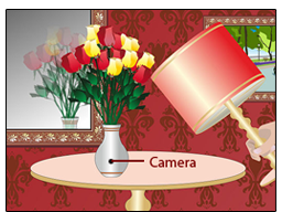 Spy Hidden Flower Pot Camera